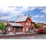 KIBRI 39492 Gare de Reichelsheim - H0