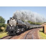 MÄRKLIN 39913 US-Dampflokomotive Klasse 3900 'Challenger' H0