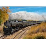 MÄRKLIN 39913 US-Dampflokomotive Klasse 3900 'Challenger' H0