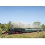MÄRKLIN 38012 Locomotiva a vapore per treni veloci ÖBB 12.11