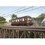 TRIX 25044 BLS Ae 4/4 Locomotiva elettrica 'Versione museo' Mfx So…