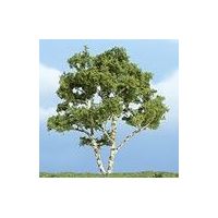 ARBRES