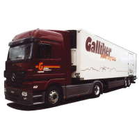 Auto e camion in H0. Dreier, Barmettler, Schöni, Emil Egger